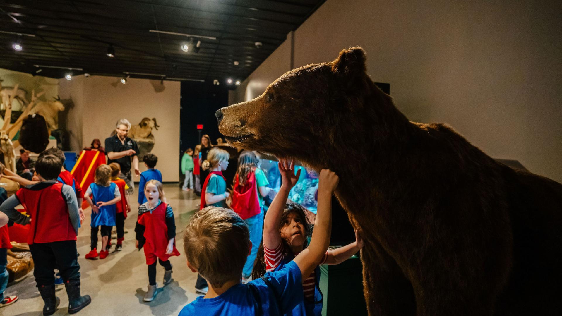 Kids touching a taxidermized bear at the Exploration Place