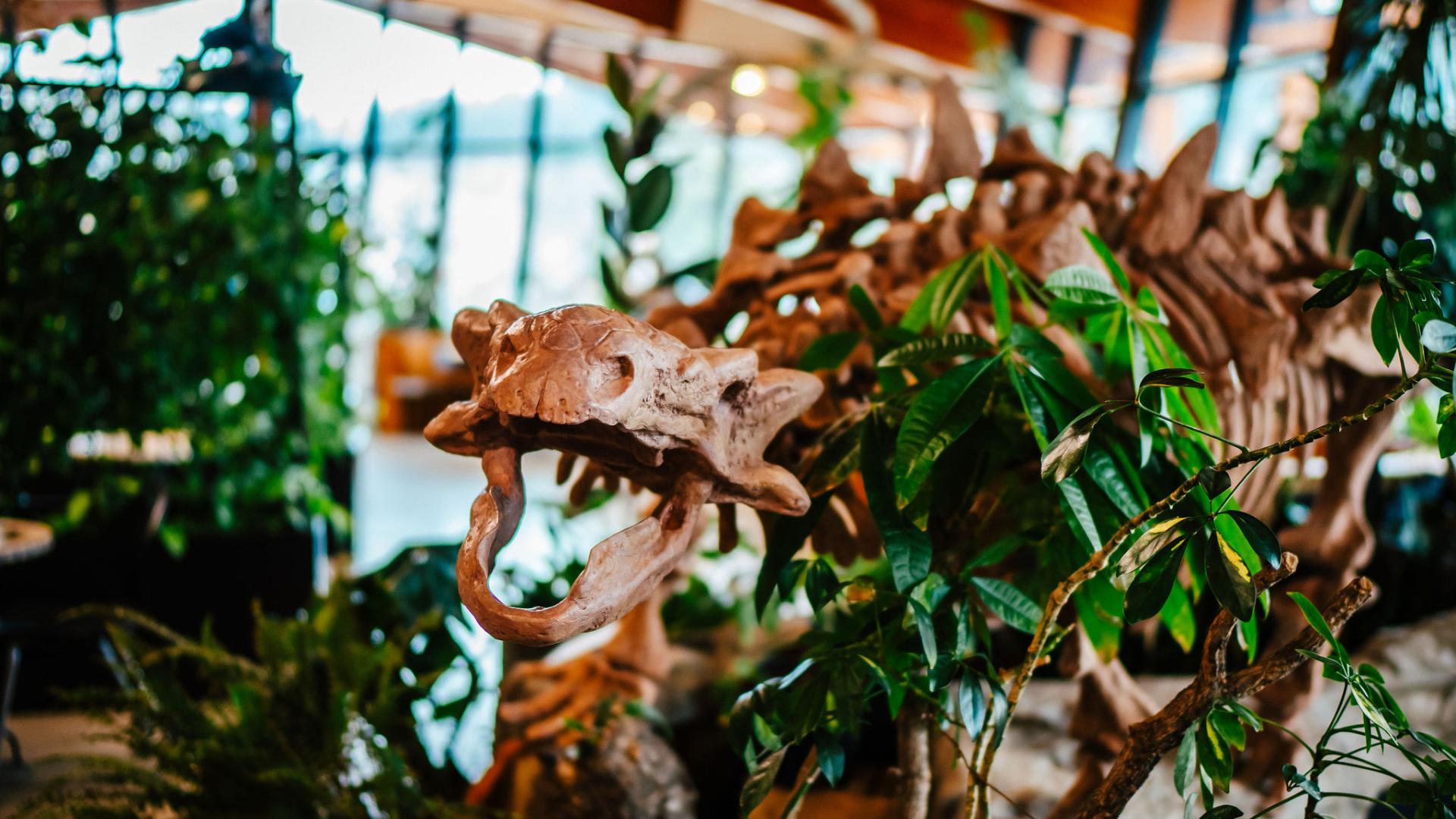 A replica dinosaur skeleton fossil at the Exploration Place