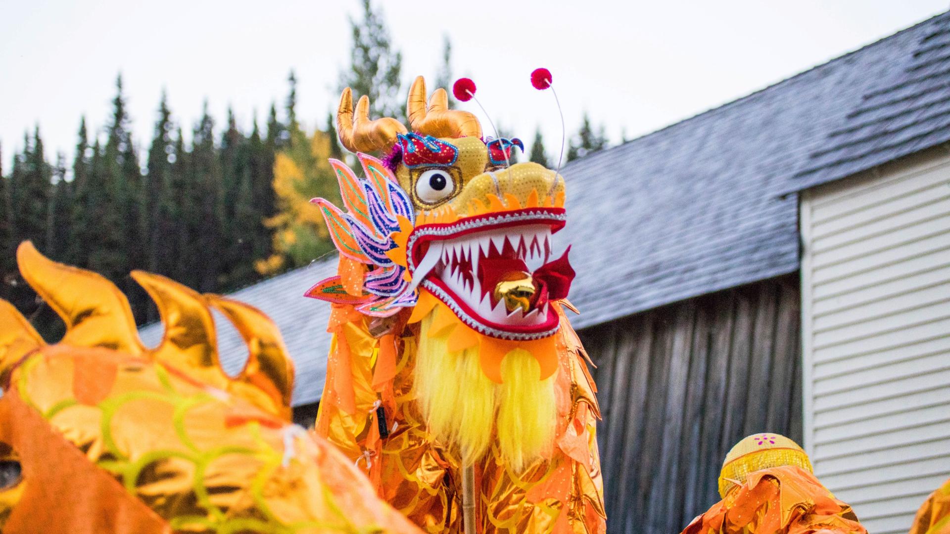 A traditional dancing Chinese dragon on Barkerville's main street
