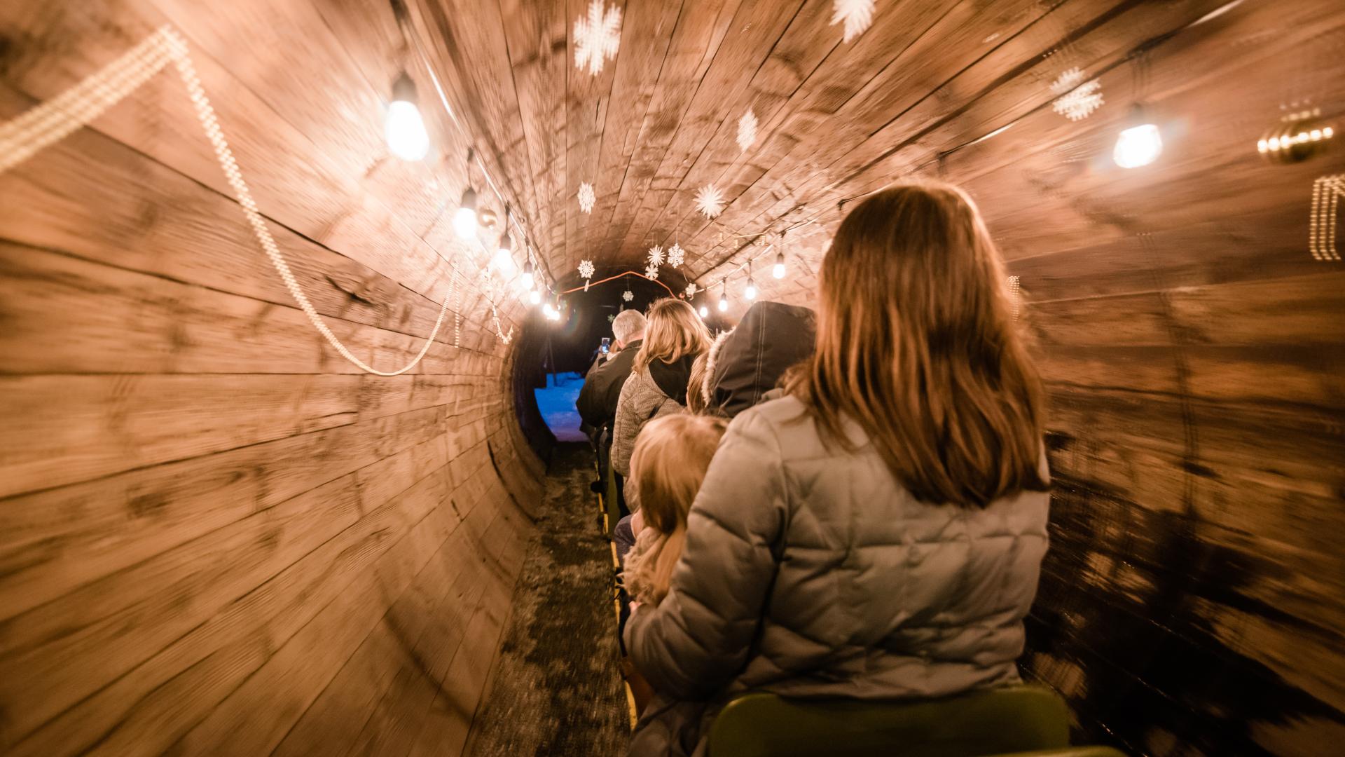 A group rides the Cottonwood Minirail at the Railway and Forestry Museum's Festival of Lights