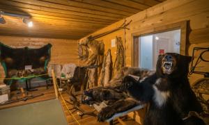 The Valemount Museum basement