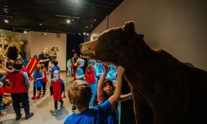 Kids touching a taxidermized bear at the Exploration Place