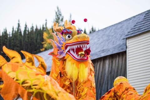 A traditional dancing Chinese dragon on Barkerville's main street